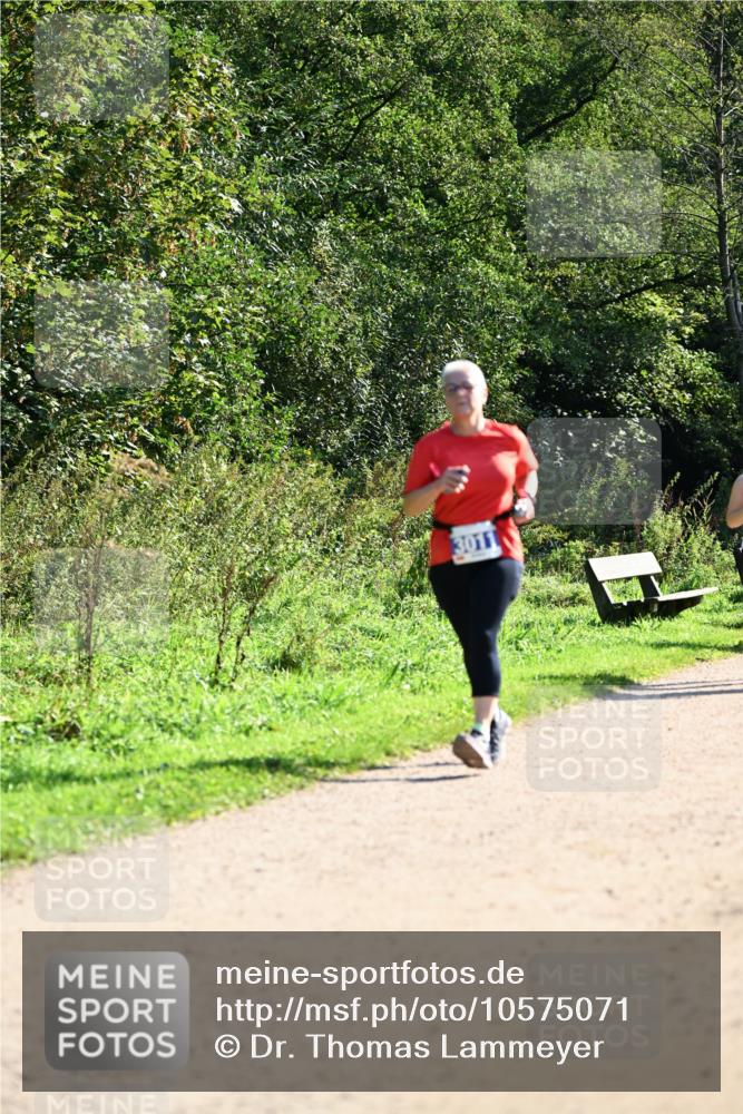 27.09.2026 - 35. Volkslauf durch das schöne Alstertal Dr. Thomas Lammeyer http://msf.ph/oto/10575071 27.09.2026 11:36:03 Laufen  meine-sportfotos.de