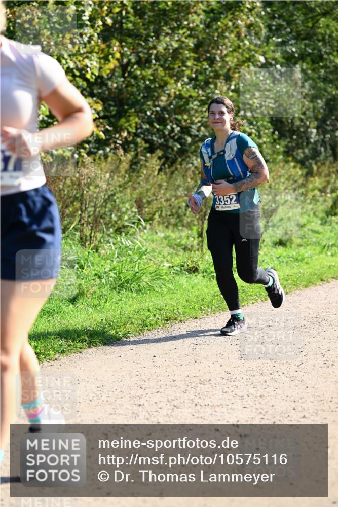 27.09.2026 - 35. Volkslauf durch das schöne Alstertal Dr. Thomas Lammeyer http://msf.ph/oto/10575116 27.09.2026 11:36:09 Laufen 37, 3352 meine-sportfotos.de