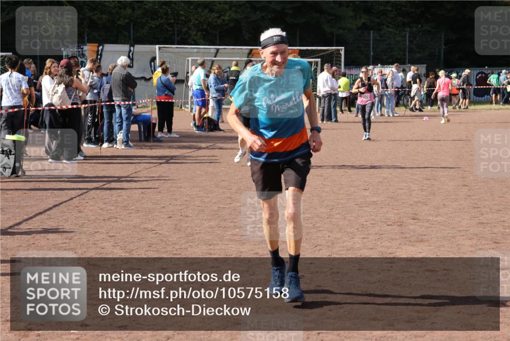 27.09.2026 - 35. Volkslauf durch das schöne Alstertal Strokosch-Dieckow http://msf.ph/oto/10575158 27.09.2026 12:34:42 Ziel 2029, 2252, 2263, 2389 meine-sportfotos.de