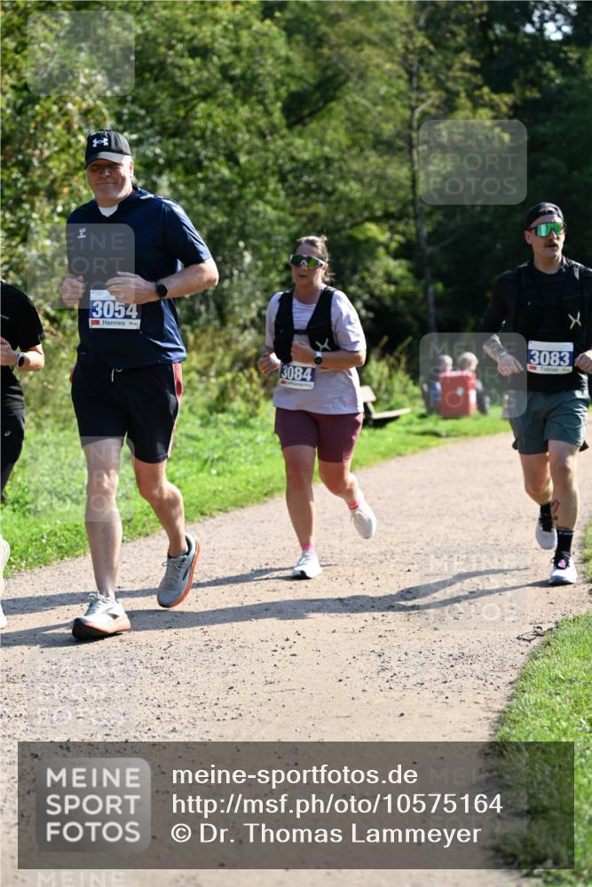 27.09.2026 - 35. Volkslauf durch das schöne Alstertal Dr. Thomas Lammeyer http://msf.ph/oto/10575164 27.09.2026 11:36:17 Laufen 3054, 3084, 3083 meine-sportfotos.de