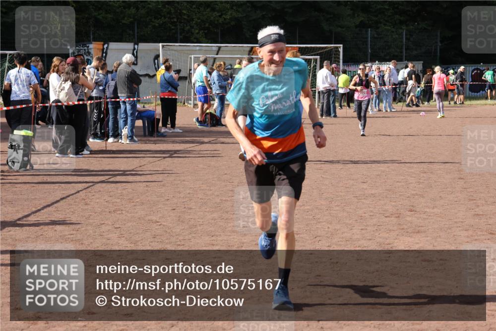 27.09.2026 - 35. Volkslauf durch das schöne Alstertal Strokosch-Dieckow http://msf.ph/oto/10575167 27.09.2026 12:34:42 Ziel 2029, 2252, 2263, 2389 meine-sportfotos.de