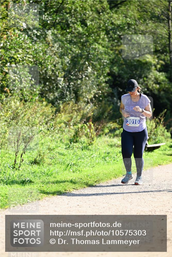 27.09.2026 - 35. Volkslauf durch das schöne Alstertal Dr. Thomas Lammeyer http://msf.ph/oto/10575303 27.09.2026 11:37:12 Laufen 3010 meine-sportfotos.de