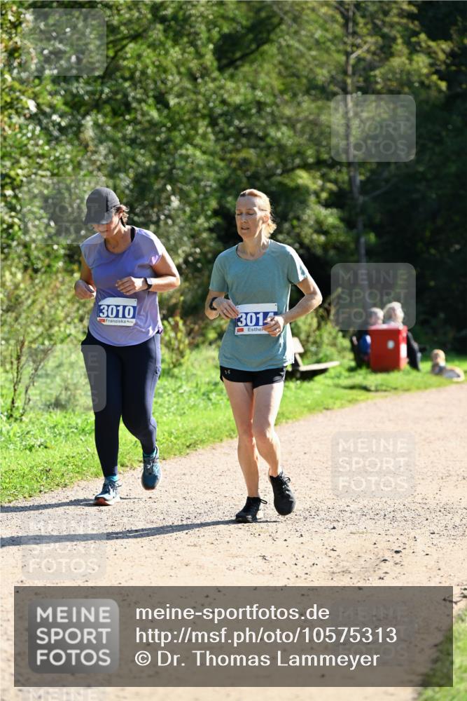 27.09.2026 - 35. Volkslauf durch das schöne Alstertal Dr. Thomas Lammeyer http://msf.ph/oto/10575313 27.09.2026 11:37:14 Laufen 3010, 301 meine-sportfotos.de