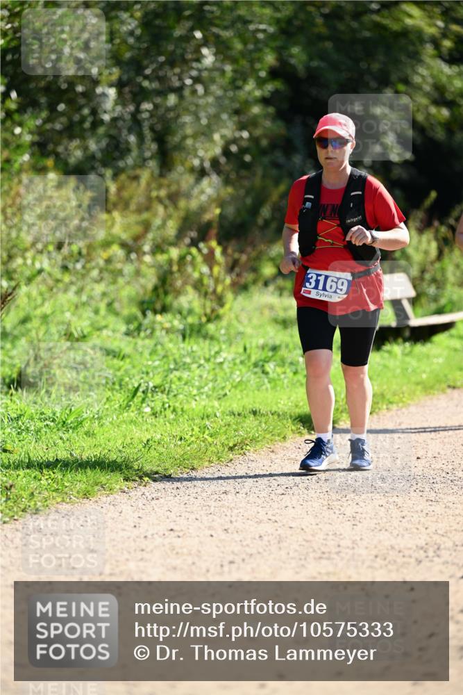27.09.2026 - 35. Volkslauf durch das schöne Alstertal Dr. Thomas Lammeyer http://msf.ph/oto/10575333 27.09.2026 11:37:31 Laufen 3169 meine-sportfotos.de