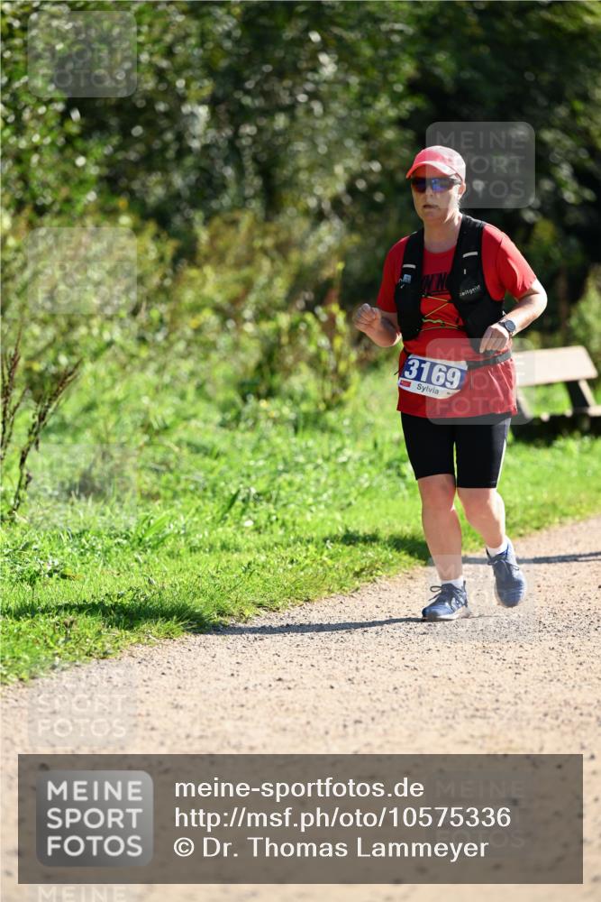 27.09.2026 - 35. Volkslauf durch das schöne Alstertal Dr. Thomas Lammeyer http://msf.ph/oto/10575336 27.09.2026 11:37:31 Laufen 3169 meine-sportfotos.de