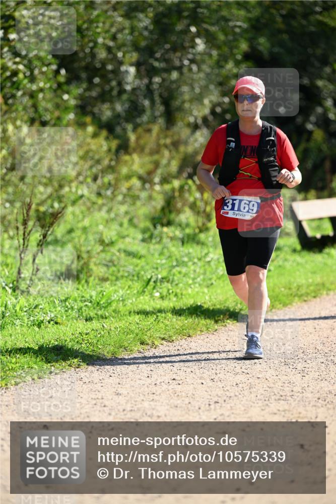 27.09.2026 - 35. Volkslauf durch das schöne Alstertal Dr. Thomas Lammeyer http://msf.ph/oto/10575339 27.09.2026 11:37:31 Laufen 3169 meine-sportfotos.de
