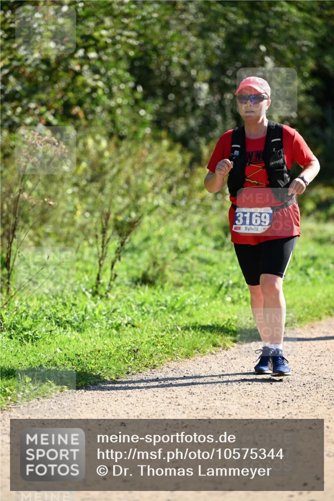 27.09.2026 - 35. Volkslauf durch das schöne Alstertal Dr. Thomas Lammeyer http://msf.ph/oto/10575344 27.09.2026 11:37:32 Laufen 3169 meine-sportfotos.de