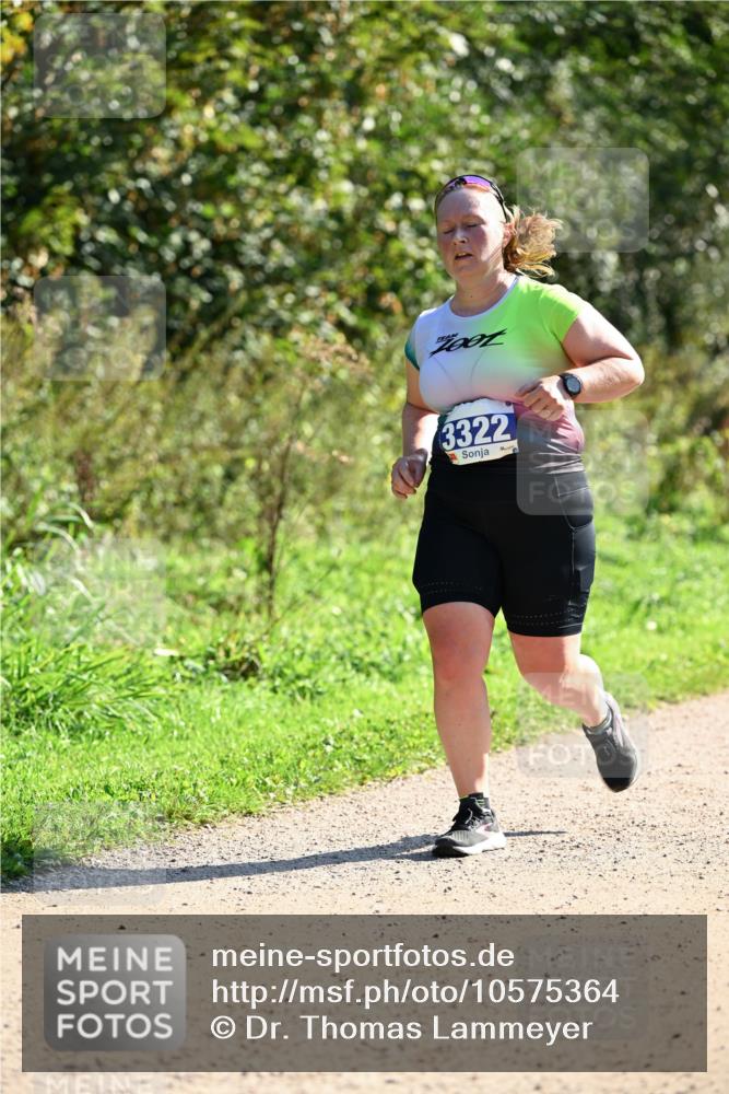 27.09.2026 - 35. Volkslauf durch das schöne Alstertal Dr. Thomas Lammeyer http://msf.ph/oto/10575364 27.09.2026 11:37:34 Laufen 3322 meine-sportfotos.de