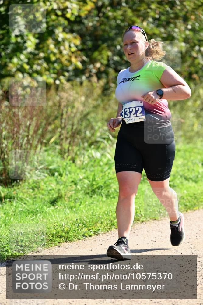 27.09.2026 - 35. Volkslauf durch das schöne Alstertal Dr. Thomas Lammeyer http://msf.ph/oto/10575370 27.09.2026 11:37:35 Laufen 3322 meine-sportfotos.de