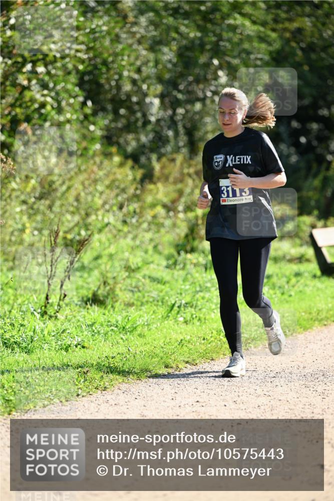 27.09.2026 - 35. Volkslauf durch das schöne Alstertal Dr. Thomas Lammeyer http://msf.ph/oto/10575443 27.09.2026 11:37:56 Laufen 3113 meine-sportfotos.de