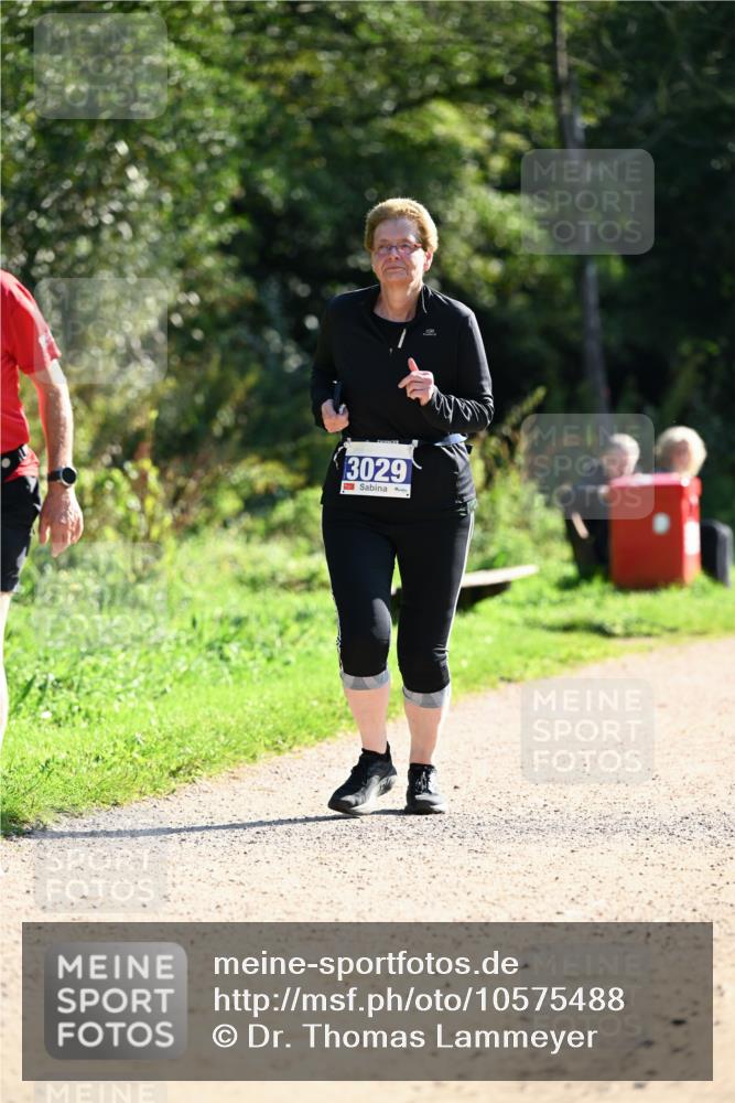 27.09.2026 - 35. Volkslauf durch das schöne Alstertal Dr. Thomas Lammeyer http://msf.ph/oto/10575488 27.09.2026 11:38:17 Laufen 3029 meine-sportfotos.de