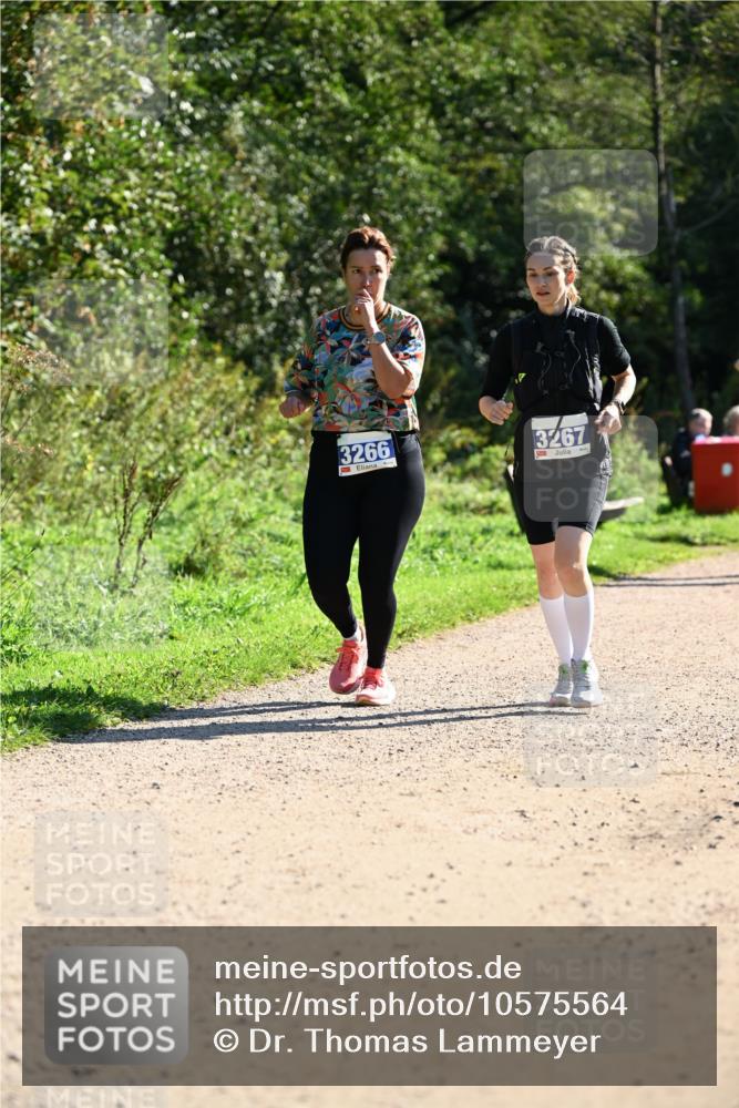 27.09.2026 - 35. Volkslauf durch das schöne Alstertal Dr. Thomas Lammeyer http://msf.ph/oto/10575564 27.09.2026 11:38:41 Laufen 3266, 3267 meine-sportfotos.de