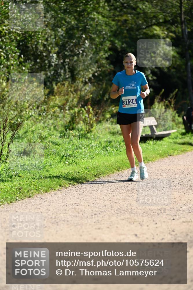 27.09.2026 - 35. Volkslauf durch das schöne Alstertal Dr. Thomas Lammeyer http://msf.ph/oto/10575624 27.09.2026 11:38:49 Laufen 3124 meine-sportfotos.de