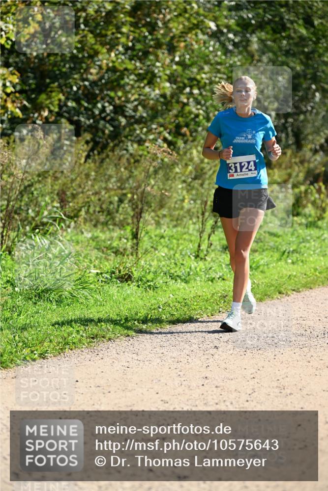 27.09.2026 - 35. Volkslauf durch das schöne Alstertal Dr. Thomas Lammeyer http://msf.ph/oto/10575643 27.09.2026 11:38:51 Laufen 3124 meine-sportfotos.de