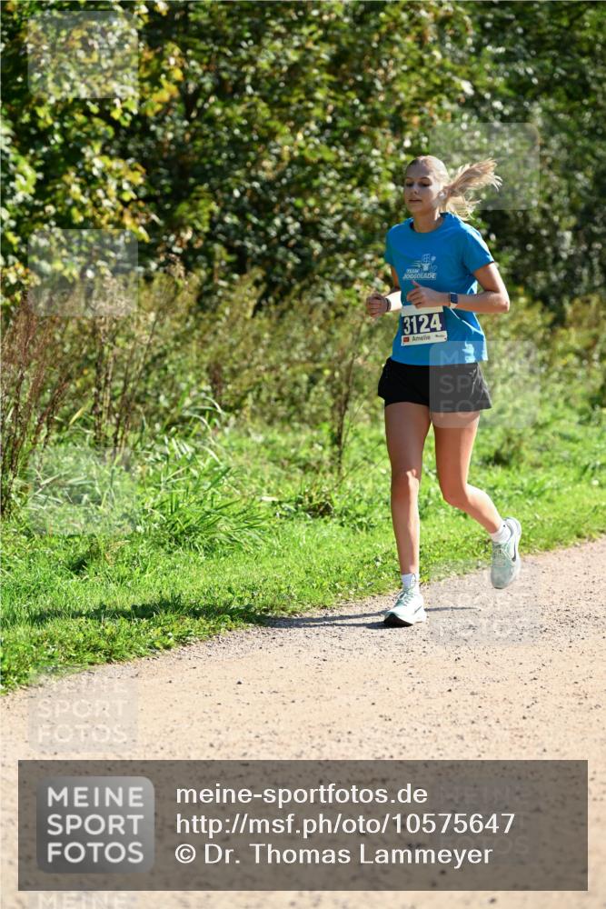 27.09.2026 - 35. Volkslauf durch das schöne Alstertal Dr. Thomas Lammeyer http://msf.ph/oto/10575647 27.09.2026 11:38:52 Laufen 3124 meine-sportfotos.de