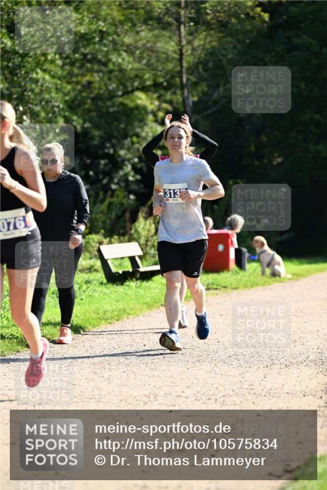 27.09.2026 - 35. Volkslauf durch das schöne Alstertal Dr. Thomas Lammeyer http://msf.ph/oto/10575834 27.09.2026 11:39:28 Laufen 076, 313 meine-sportfotos.de