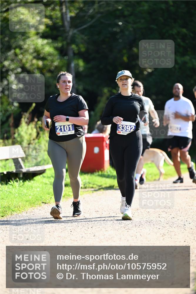 27.09.2026 - 35. Volkslauf durch das schöne Alstertal Dr. Thomas Lammeyer http://msf.ph/oto/10575952 27.09.2026 11:40:12 Laufen 2101, 3392 meine-sportfotos.de