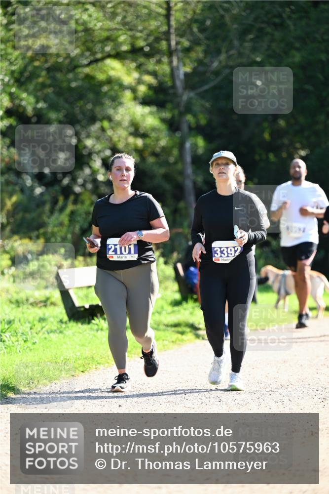 27.09.2026 - 35. Volkslauf durch das schöne Alstertal Dr. Thomas Lammeyer http://msf.ph/oto/10575963 27.09.2026 11:40:13 Laufen 2101, 3392 meine-sportfotos.de