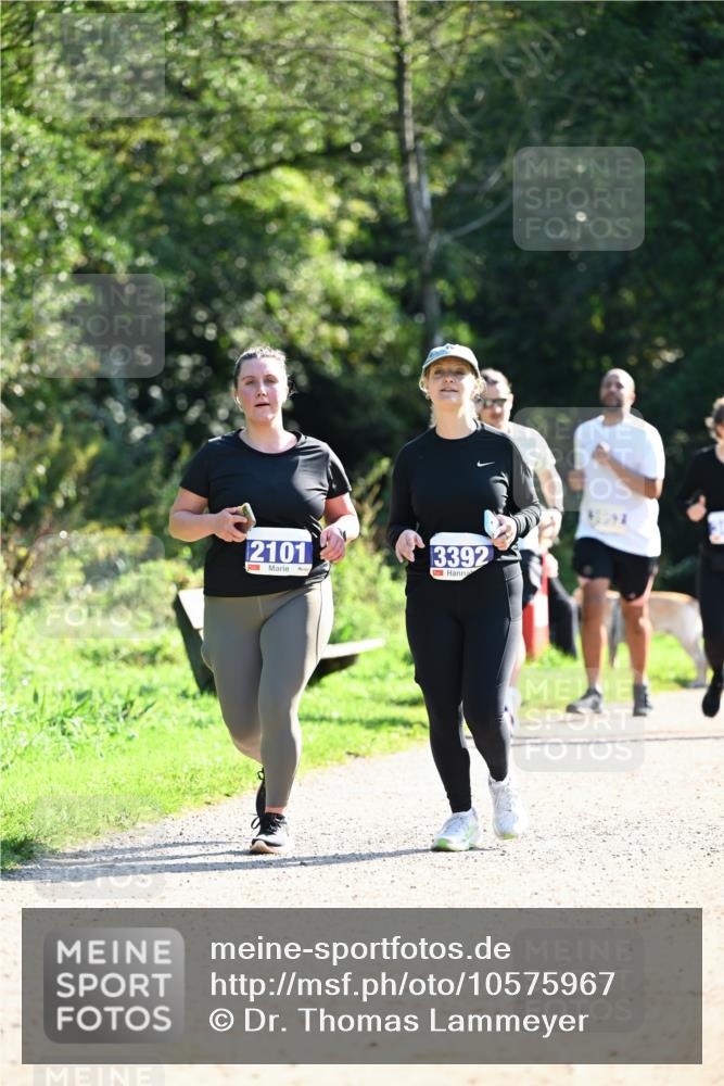 27.09.2026 - 35. Volkslauf durch das schöne Alstertal Dr. Thomas Lammeyer http://msf.ph/oto/10575967 27.09.2026 11:40:13 Laufen 2101, 3392 meine-sportfotos.de
