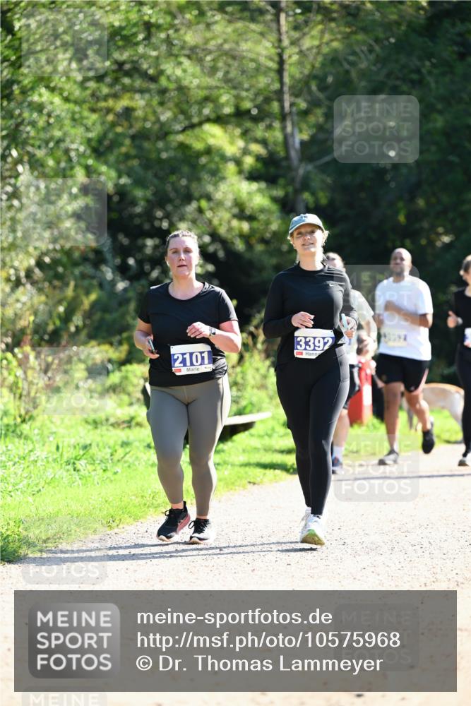 27.09.2026 - 35. Volkslauf durch das schöne Alstertal Dr. Thomas Lammeyer http://msf.ph/oto/10575968 27.09.2026 11:40:13 Laufen 2101, 3392 meine-sportfotos.de