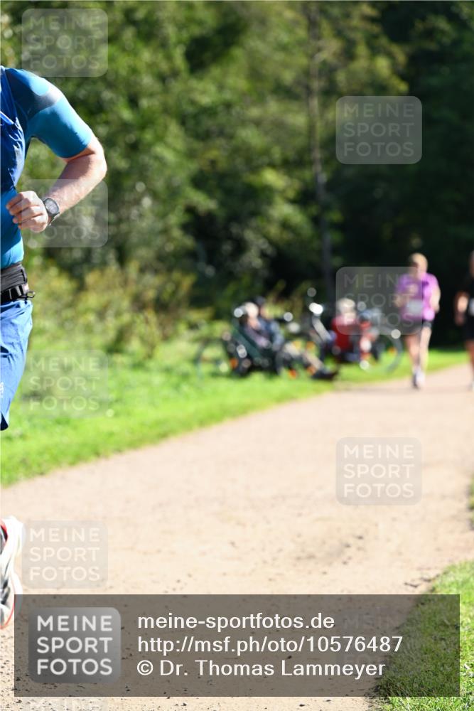 27.09.2026 - 35. Volkslauf durch das schöne Alstertal Dr. Thomas Lammeyer http://msf.ph/oto/10576487 27.09.2026 11:44:36 Laufen  meine-sportfotos.de