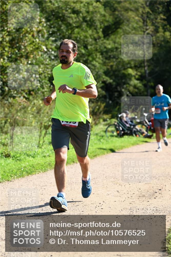 27.09.2026 - 35. Volkslauf durch das schöne Alstertal Dr. Thomas Lammeyer http://msf.ph/oto/10576525 27.09.2026 11:44:48 Laufen  meine-sportfotos.de