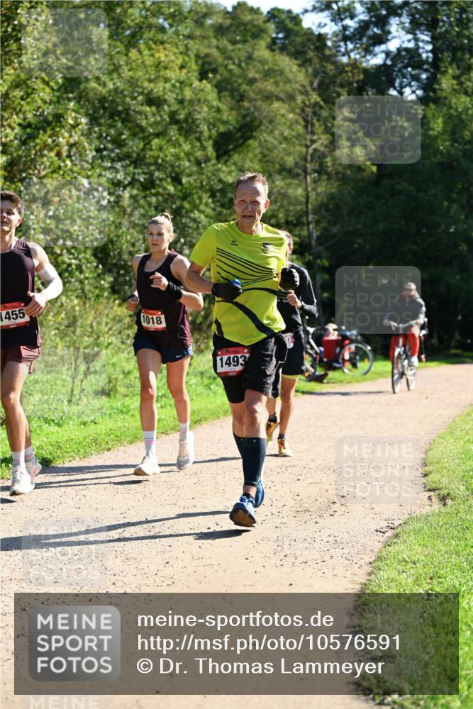27.09.2026 - 35. Volkslauf durch das schöne Alstertal Dr. Thomas Lammeyer http://msf.ph/oto/10576591 27.09.2026 11:44:57 Laufen 1455, 1018, 1493 meine-sportfotos.de