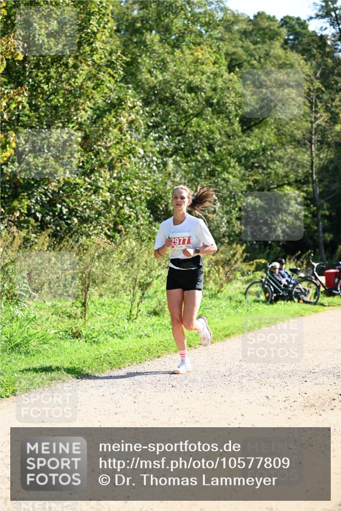 27.09.2026 - 35. Volkslauf durch das schöne Alstertal Dr. Thomas Lammeyer http://msf.ph/oto/10577809 27.09.2026 11:55:30 Laufen 2977 meine-sportfotos.de
