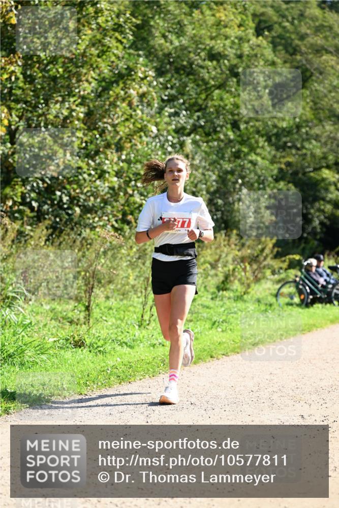27.09.2026 - 35. Volkslauf durch das schöne Alstertal Dr. Thomas Lammeyer http://msf.ph/oto/10577811 27.09.2026 11:55:31 Laufen 77 meine-sportfotos.de