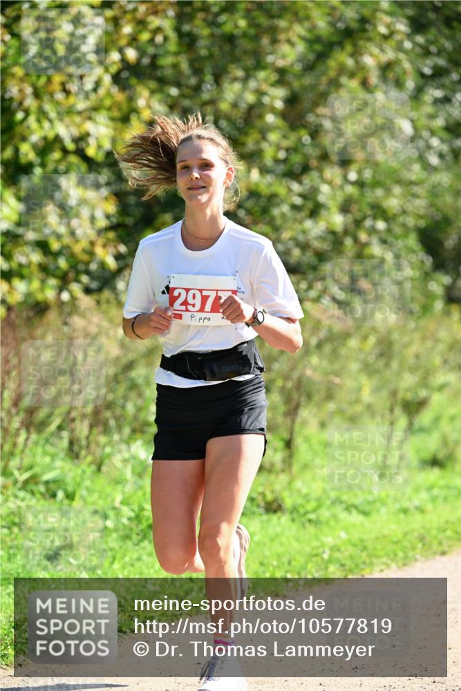 27.09.2026 - 35. Volkslauf durch das schöne Alstertal Dr. Thomas Lammeyer http://msf.ph/oto/10577819 27.09.2026 11:55:31 Laufen 297 meine-sportfotos.de