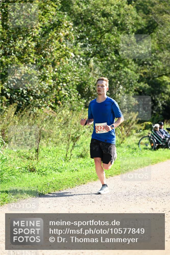 27.09.2026 - 35. Volkslauf durch das schöne Alstertal Dr. Thomas Lammeyer http://msf.ph/oto/10577849 27.09.2026 11:55:47 Laufen 242 meine-sportfotos.de