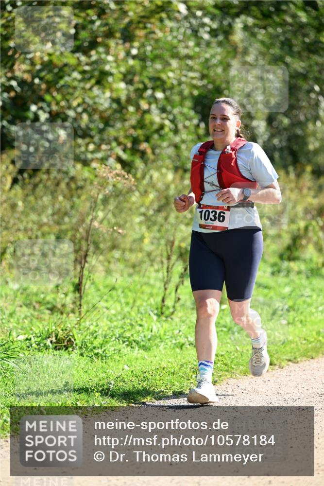 27.09.2026 - 35. Volkslauf durch das schöne Alstertal Dr. Thomas Lammeyer http://msf.ph/oto/10578184 27.09.2026 11:59:16 Laufen 1036 meine-sportfotos.de