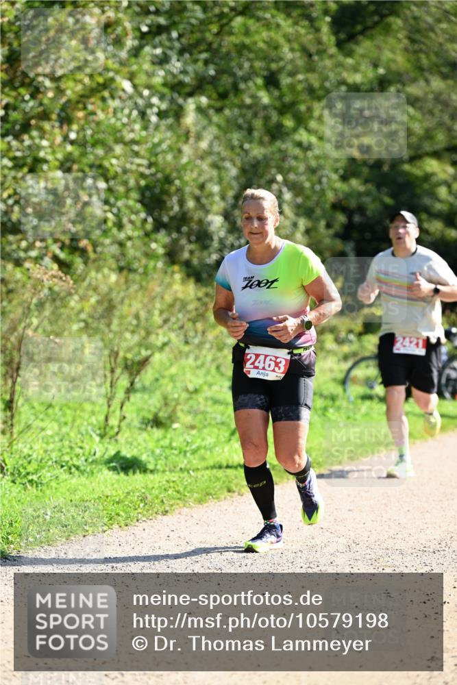 27.09.2026 - 35. Volkslauf durch das schöne Alstertal Dr. Thomas Lammeyer http://msf.ph/oto/10579198 27.09.2026 12:06:41 Laufen 2463 meine-sportfotos.de