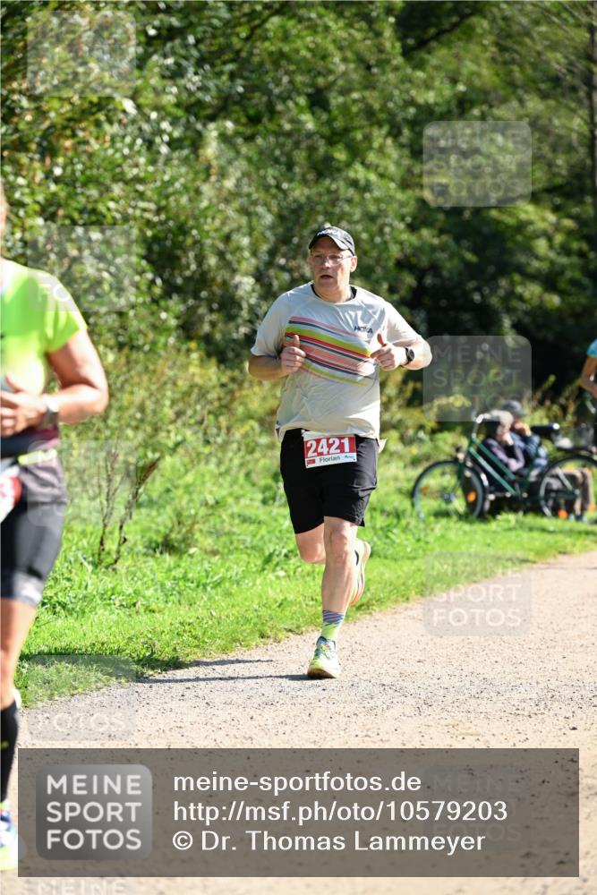 27.09.2026 - 35. Volkslauf durch das schöne Alstertal Dr. Thomas Lammeyer http://msf.ph/oto/10579203 27.09.2026 12:06:42 Laufen 2421 meine-sportfotos.de