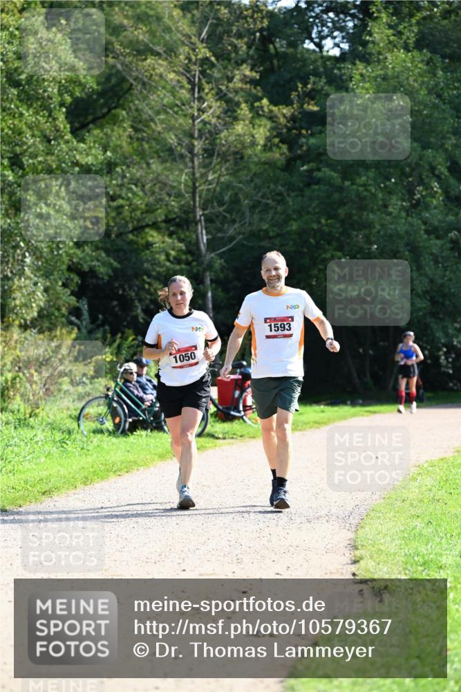 27.09.2026 - 35. Volkslauf durch das schöne Alstertal Dr. Thomas Lammeyer http://msf.ph/oto/10579367 27.09.2026 12:08:35 Laufen 1593, 1050 meine-sportfotos.de