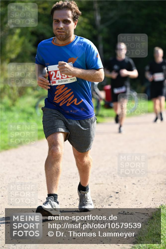 27.09.2026 - 35. Volkslauf durch das schöne Alstertal Dr. Thomas Lammeyer http://msf.ph/oto/10579539 27.09.2026 12:09:37 Laufen 245 meine-sportfotos.de