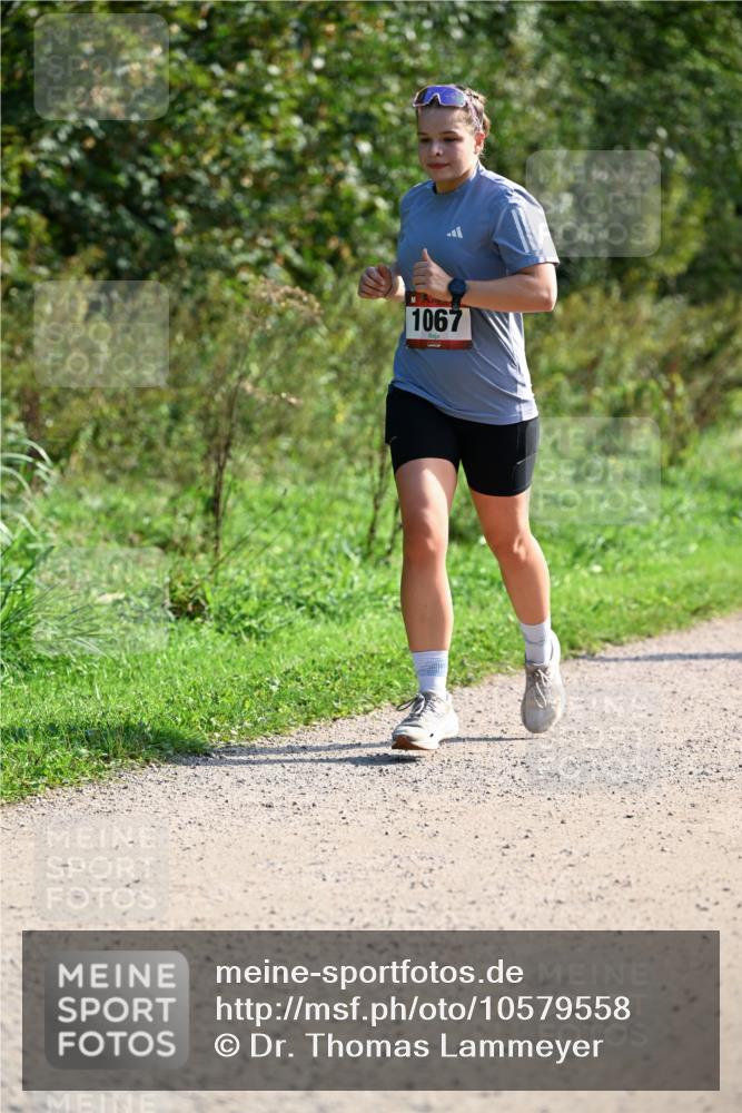27.09.2026 - 35. Volkslauf durch das schöne Alstertal Dr. Thomas Lammeyer http://msf.ph/oto/10579558 27.09.2026 12:09:45 Laufen 1067 meine-sportfotos.de