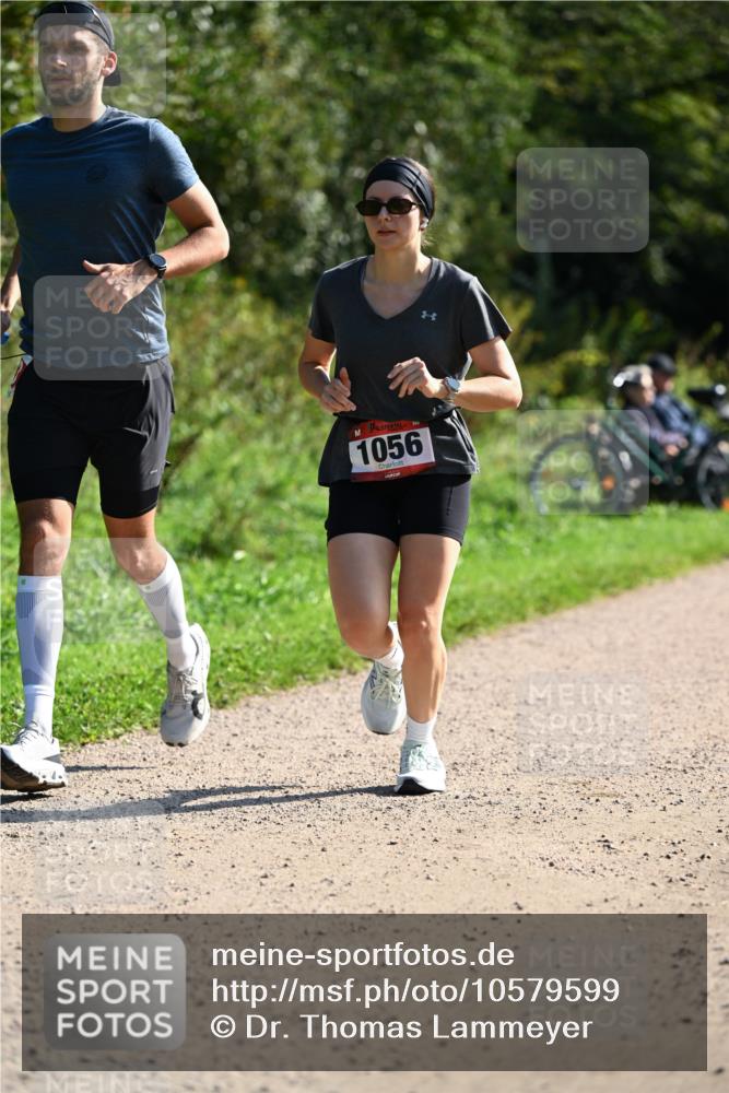 27.09.2026 - 35. Volkslauf durch das schöne Alstertal Dr. Thomas Lammeyer http://msf.ph/oto/10579599 27.09.2026 12:09:56 Laufen 1056 meine-sportfotos.de