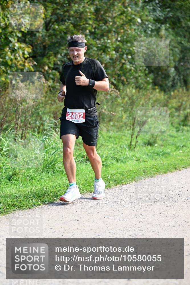 27.09.2026 - 35. Volkslauf durch das schöne Alstertal Dr. Thomas Lammeyer http://msf.ph/oto/10580055 27.09.2026 12:12:41 Laufen 2402 meine-sportfotos.de