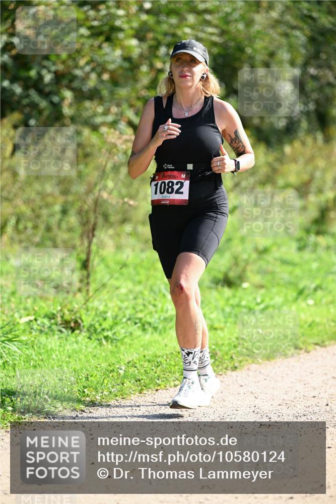 27.09.2026 - 35. Volkslauf durch das schöne Alstertal Dr. Thomas Lammeyer http://msf.ph/oto/10580124 27.09.2026 12:13:01 Laufen 1082 meine-sportfotos.de