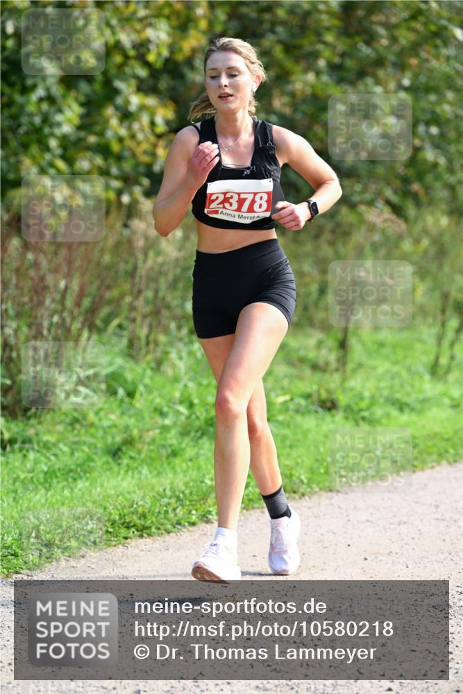 27.09.2026 - 35. Volkslauf durch das schöne Alstertal Dr. Thomas Lammeyer http://msf.ph/oto/10580218 27.09.2026 12:13:30 Laufen 2378 meine-sportfotos.de