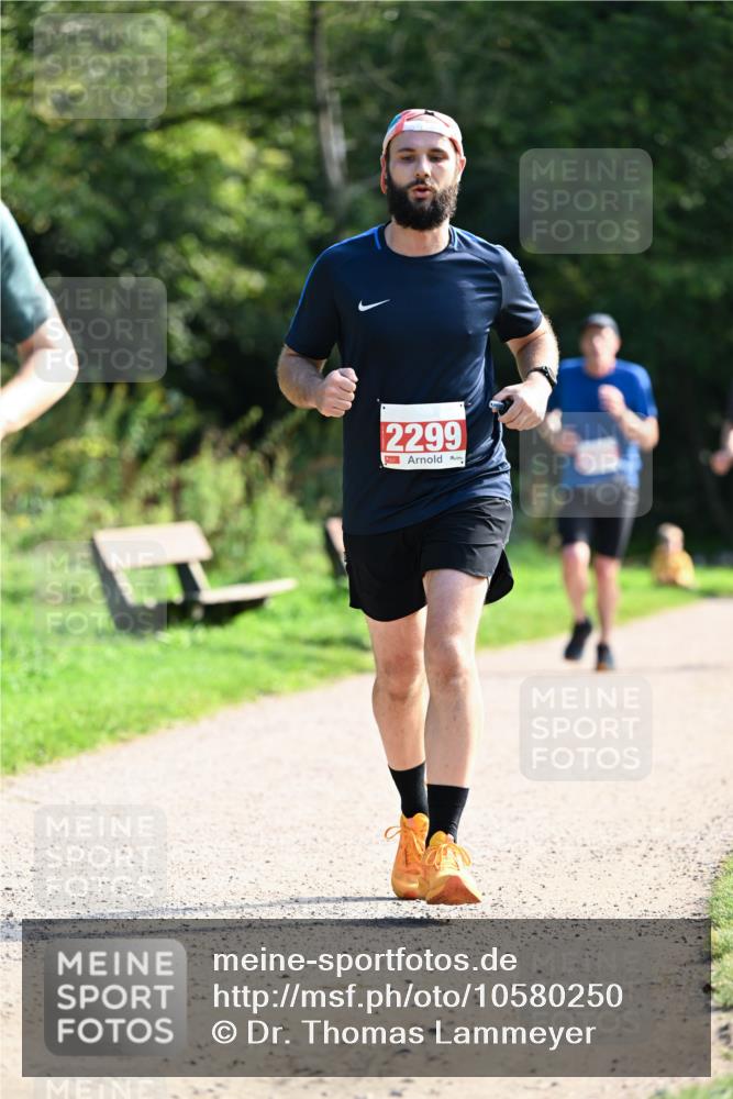 27.09.2026 - 35. Volkslauf durch das schöne Alstertal Dr. Thomas Lammeyer http://msf.ph/oto/10580250 27.09.2026 12:13:59 Laufen 2299 meine-sportfotos.de