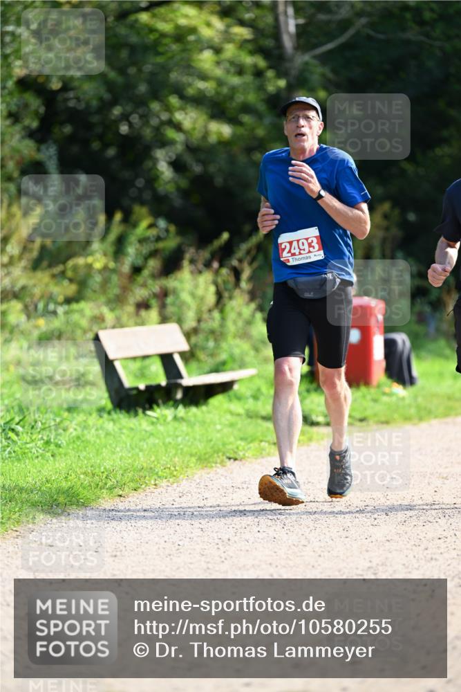 27.09.2026 - 35. Volkslauf durch das schöne Alstertal Dr. Thomas Lammeyer http://msf.ph/oto/10580255 27.09.2026 12:14:01 Laufen 2493 meine-sportfotos.de