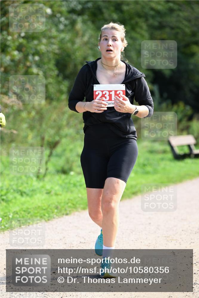 27.09.2026 - 35. Volkslauf durch das schöne Alstertal Dr. Thomas Lammeyer http://msf.ph/oto/10580356 27.09.2026 12:14:58 Laufen 2313 meine-sportfotos.de