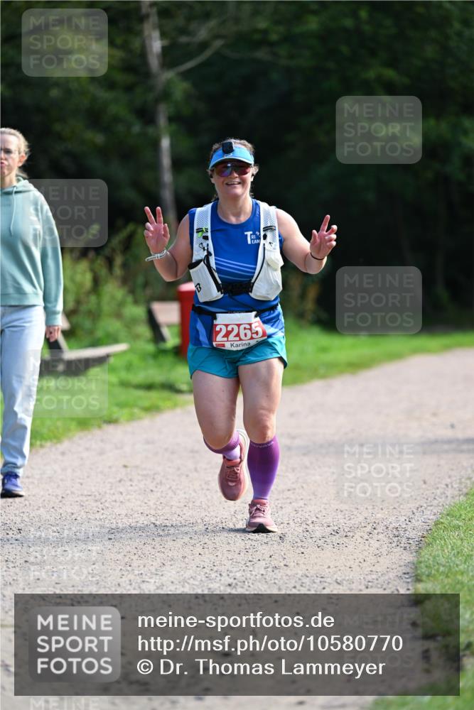 27.09.2026 - 35. Volkslauf durch das schöne Alstertal Dr. Thomas Lammeyer http://msf.ph/oto/10580770 27.09.2026 12:18:41 Laufen 2265 meine-sportfotos.de