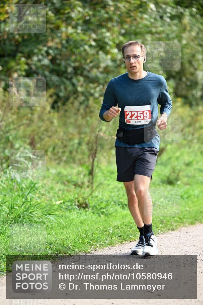 27.09.2026 - 35. Volkslauf durch das schöne Alstertal Dr. Thomas Lammeyer http://msf.ph/oto/10580946 27.09.2026 12:21:33 Laufen 2259 meine-sportfotos.de