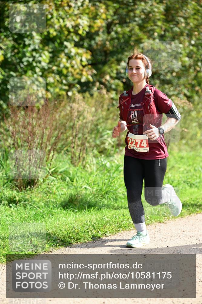 27.09.2026 - 35. Volkslauf durch das schöne Alstertal Dr. Thomas Lammeyer http://msf.ph/oto/10581175 27.09.2026 12:24:10 Laufen 2274 meine-sportfotos.de