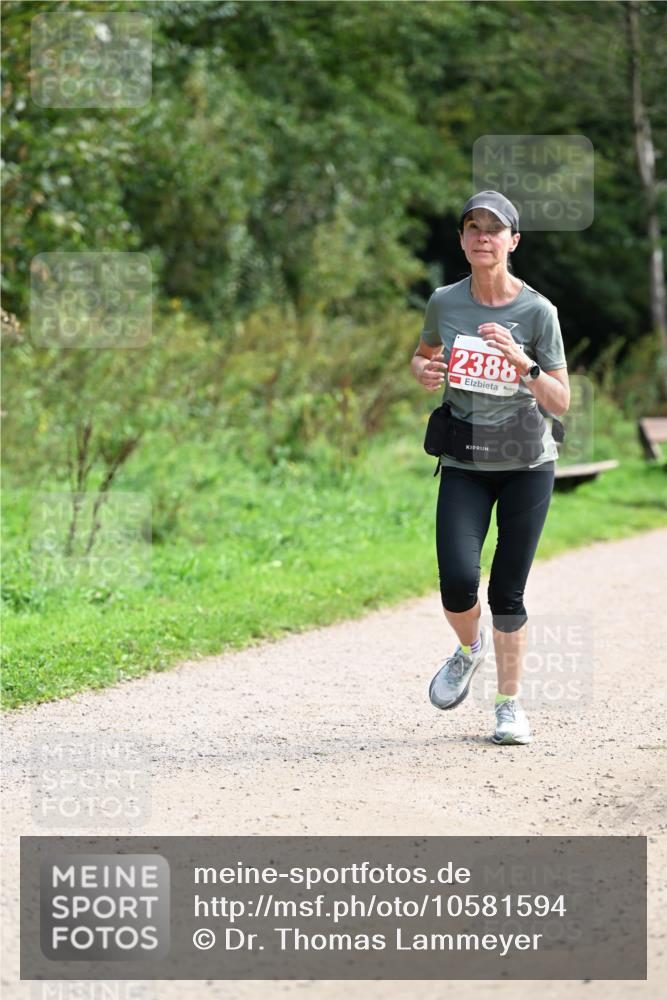 27.09.2026 - 35. Volkslauf durch das schöne Alstertal Dr. Thomas Lammeyer http://msf.ph/oto/10581594 27.09.2026 12:26:42 Laufen 2388 meine-sportfotos.de