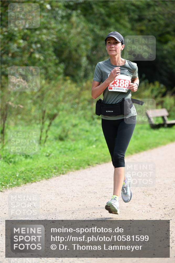 27.09.2026 - 35. Volkslauf durch das schöne Alstertal Dr. Thomas Lammeyer http://msf.ph/oto/10581599 27.09.2026 12:26:42 Laufen 2388 meine-sportfotos.de