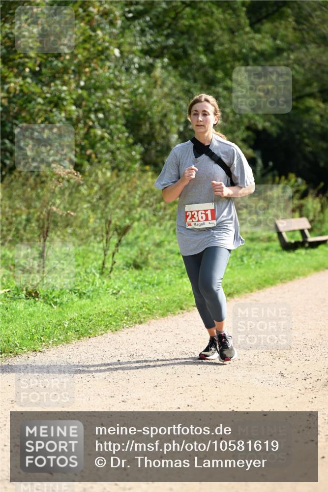 27.09.2026 - 35. Volkslauf durch das schöne Alstertal Dr. Thomas Lammeyer http://msf.ph/oto/10581619 27.09.2026 12:26:59 Laufen 2361 meine-sportfotos.de